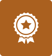 bronze-badge